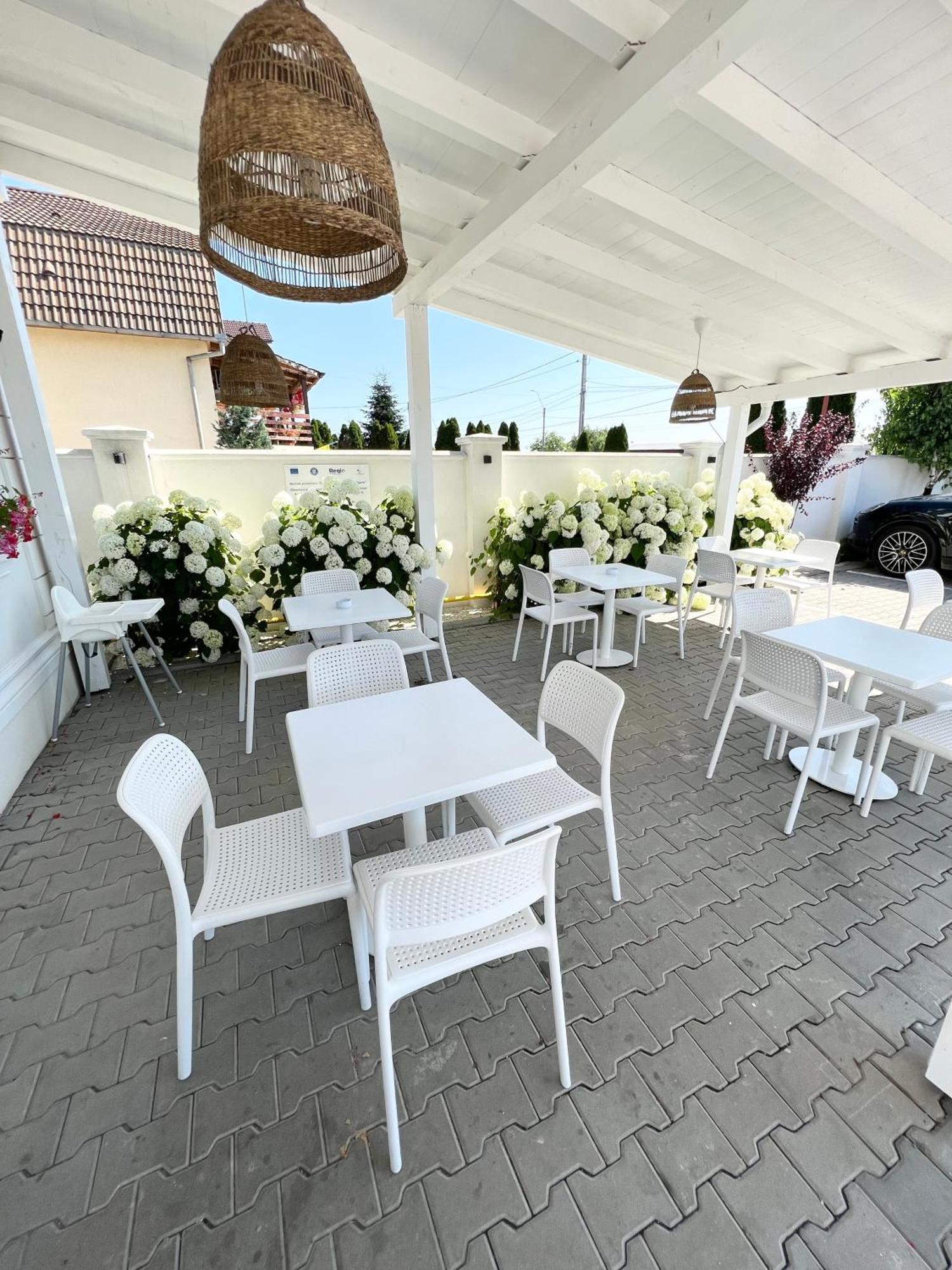 Krystal Boutique Mansion Hotel Hunedoara Buitenkant foto