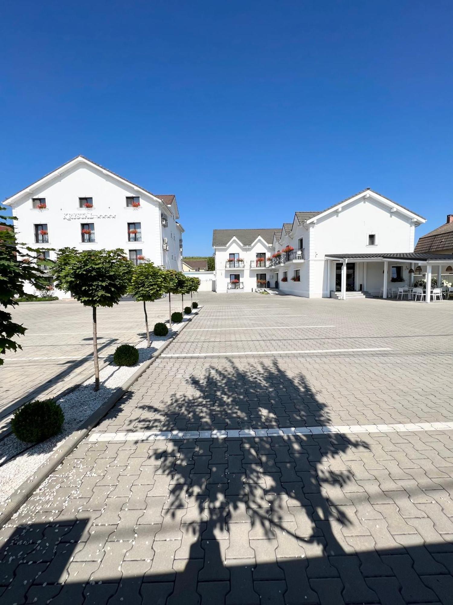 Krystal Boutique Mansion Hotel Hunedoara Buitenkant foto