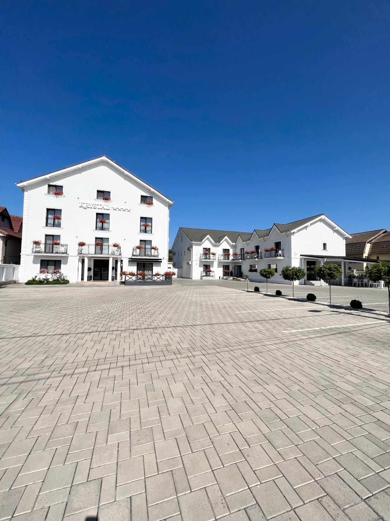 Krystal Boutique Mansion Hotel Hunedoara Buitenkant foto